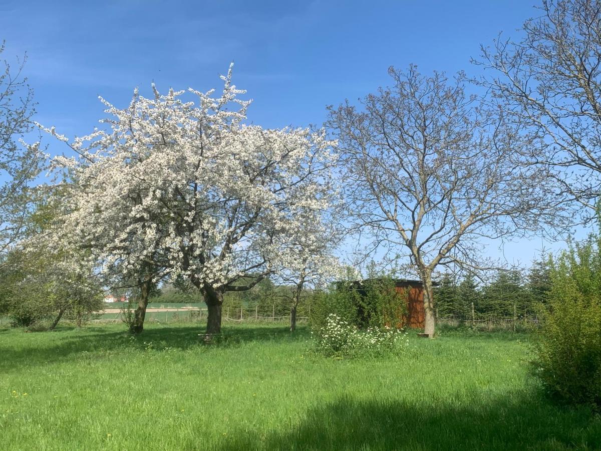 Ferme Renovee 300M2 La Casa Jeb : Charme, Calme Et Nature Moncheaux Luaran gambar